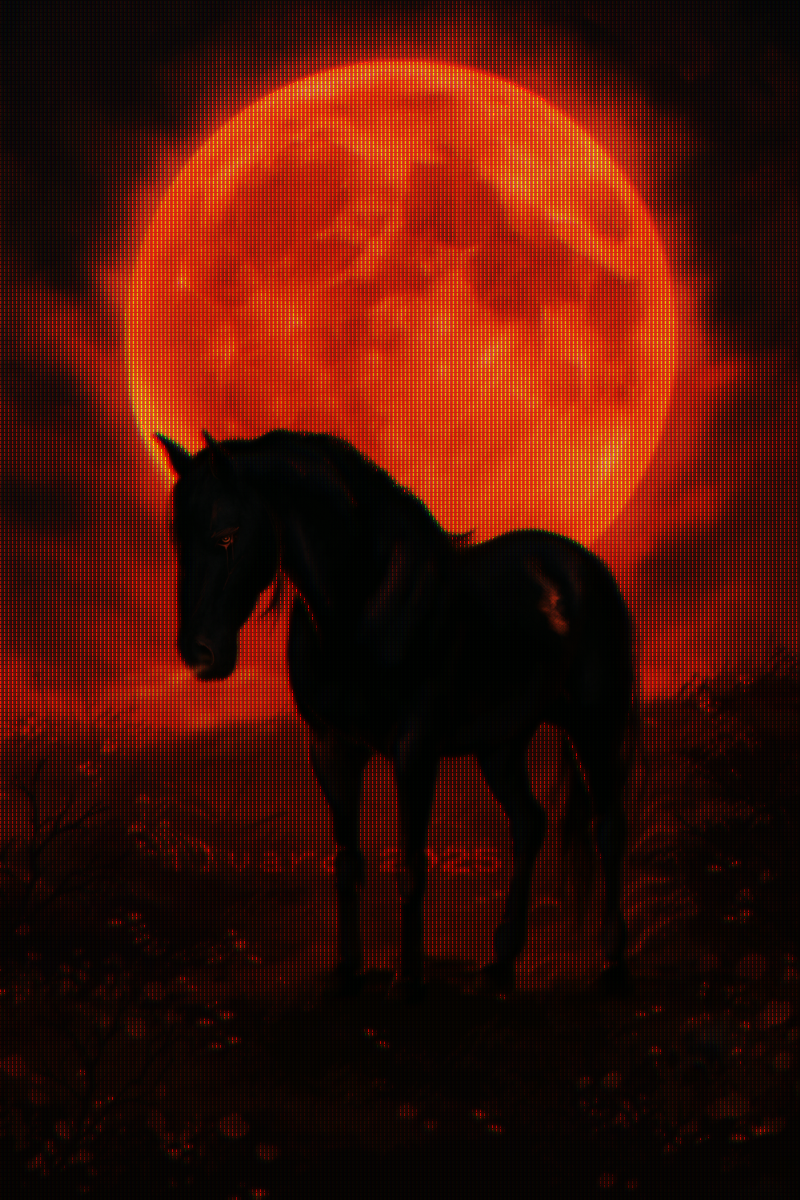 Bucephalus